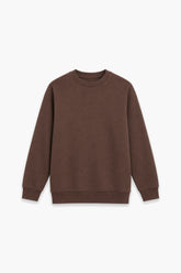 Men Breanded Fleece Basic Sweatshirt - Brown