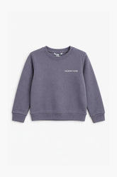 Boys Branded Graphic Sweatshirt - L/Purple