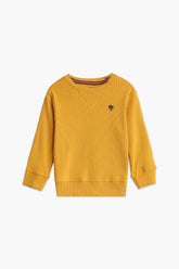 BASIC SWEATSHIRT