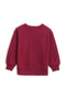 Boys Basic Sweatshirt (Brand: Lefties) - Maroon