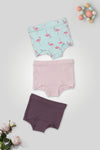 Girl Panties Pack of 3 - (Assorted)