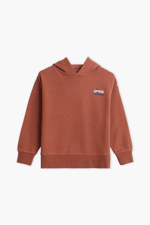 Boys Branded Pullover Hoodie - Brown
