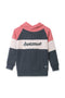 Boys Graphic Hoodie Sweatshirt (Brand: Dopo Dopo) - Pink