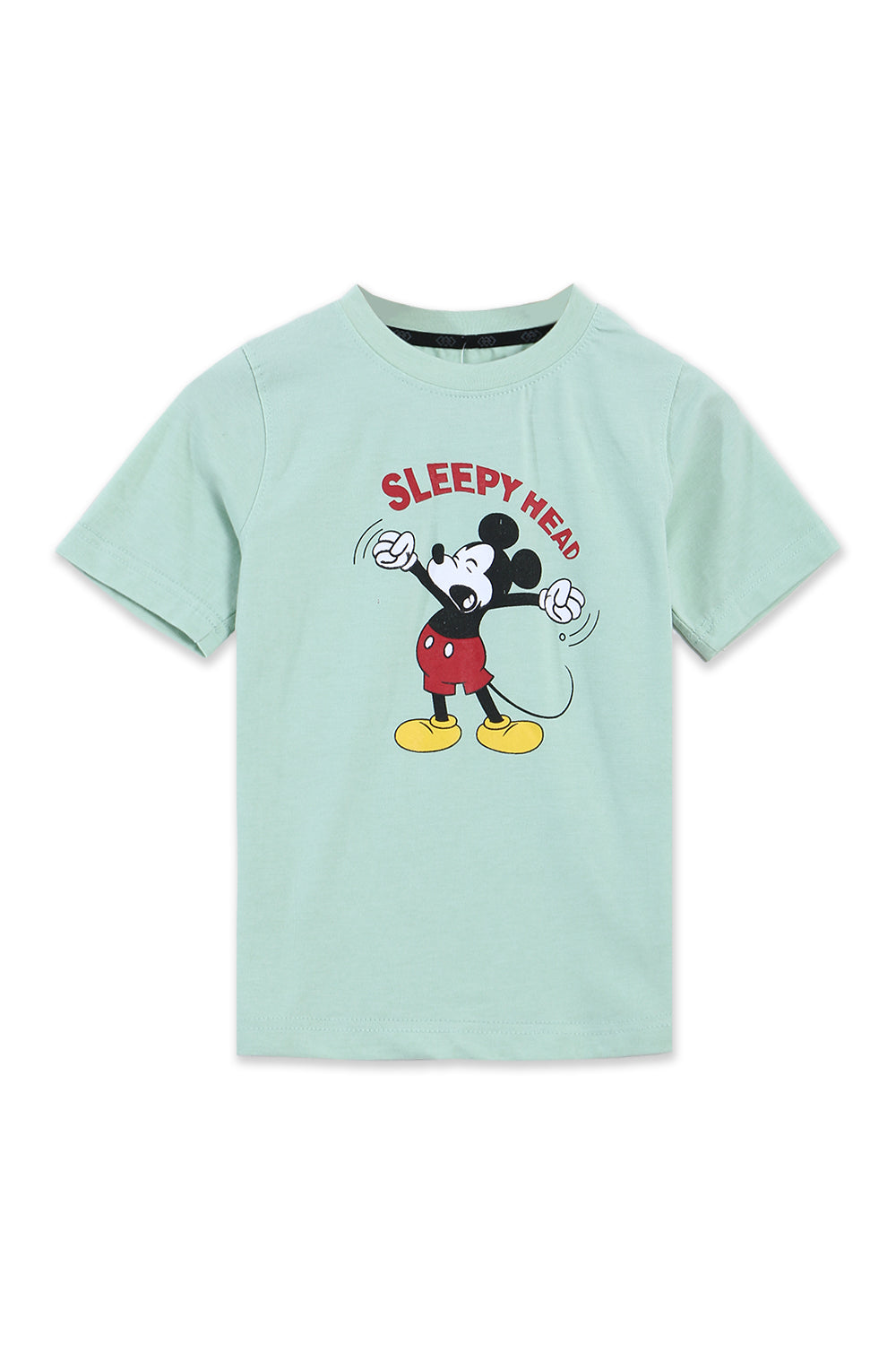 Boys Branded Graphic T-Shirt - Pastachio