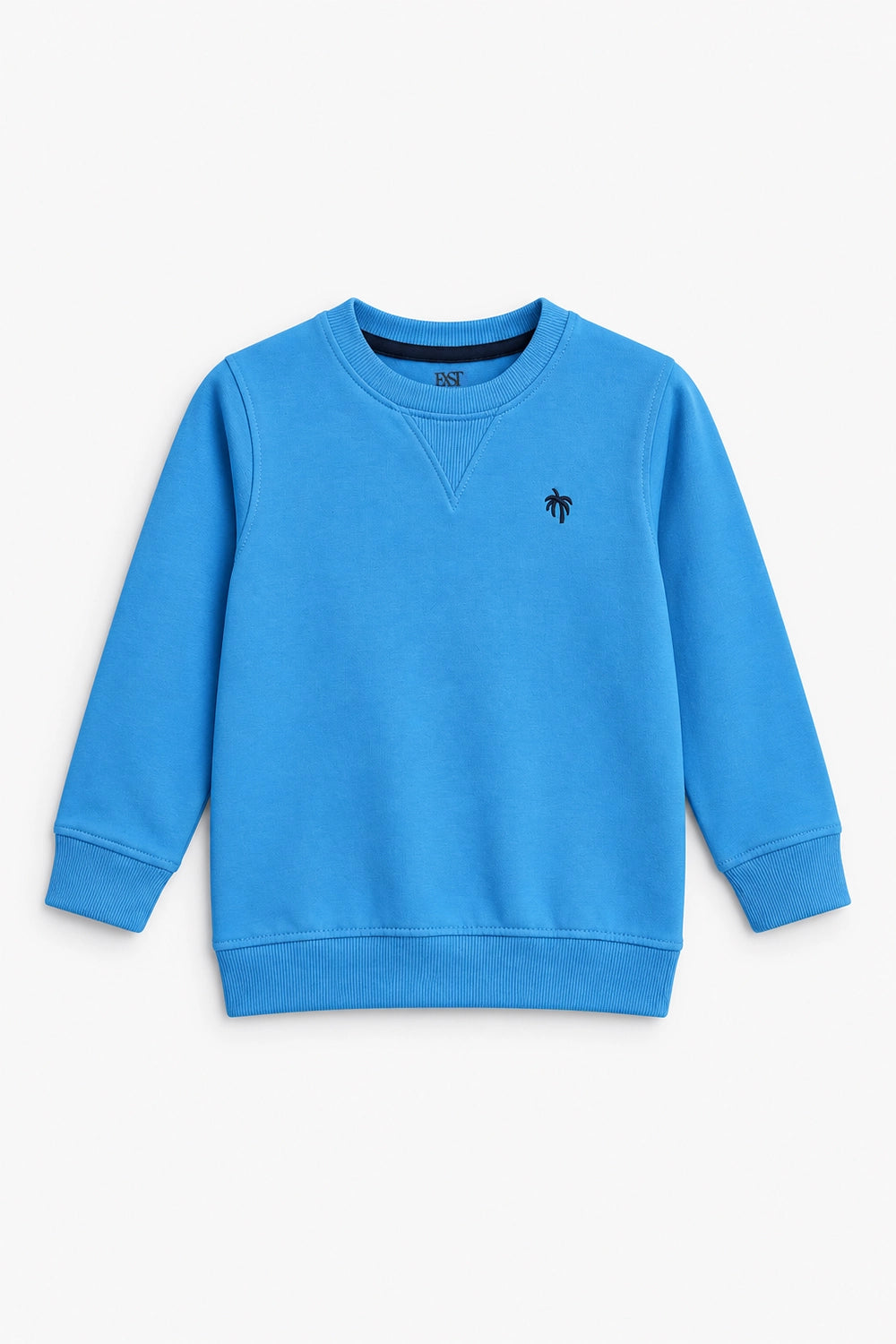 BASIC SWEATSHIRT