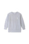 Boys Branded Graphic Sweatshirt - L/Grey