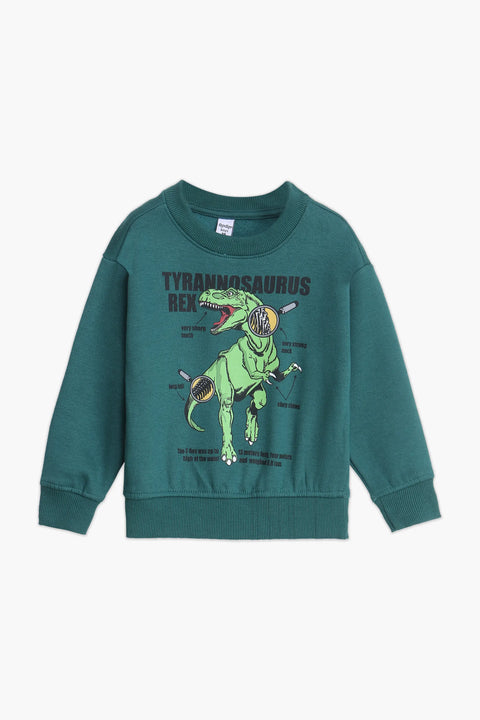 Boys Branded Graphic Sweatshirt - Green