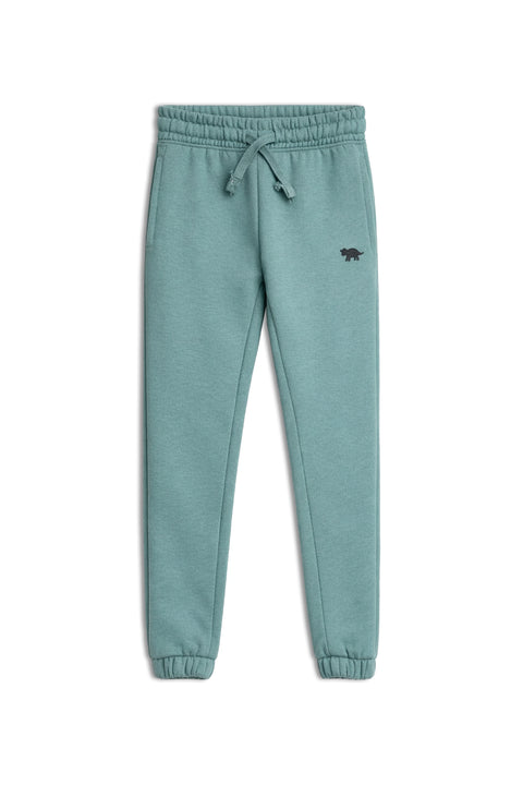Boys Branded Fleece Trouser - Green
