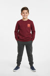 Boys Branded Graphic Sweatshirt - Maroon