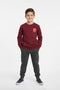 Boys Branded Graphic Sweatshirt - Maroon