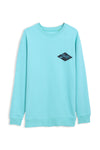 Men Branded Graphic Sweatshirt - Sea Green