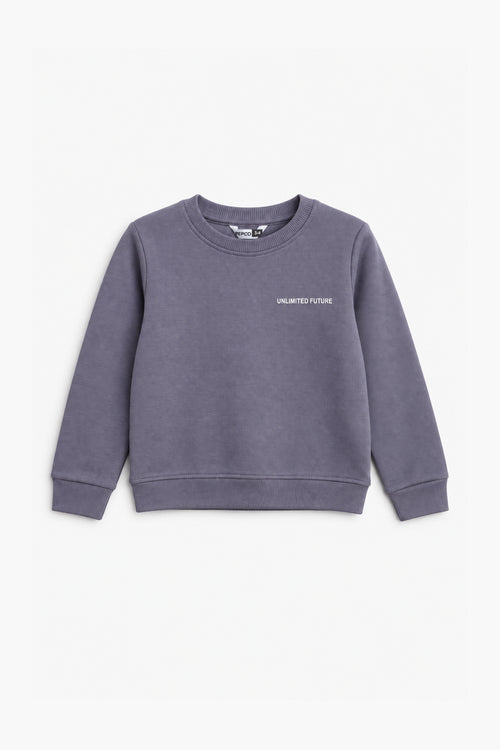 Boys Branded Graphic Sweatshirt - L/Purple