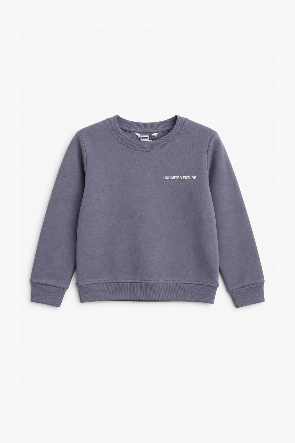 Boys Branded Graphic Sweatshirt - L/Purple