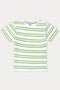 Boys Stripes T-Shirt (Brand: MAX) - Green & White