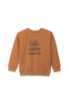 Boys Graphic V-Notch Sweatshirt BS-32- Brown