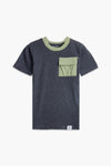 Boys Branded basic T-Shirt - Grey & Green