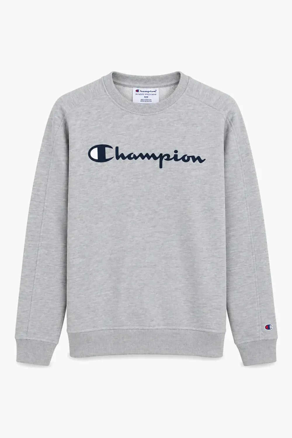 Men Breanded Fleece Sweatshirt - Grey
