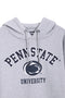 Men Branded Printed Fleece Hoodie - Heather Grey