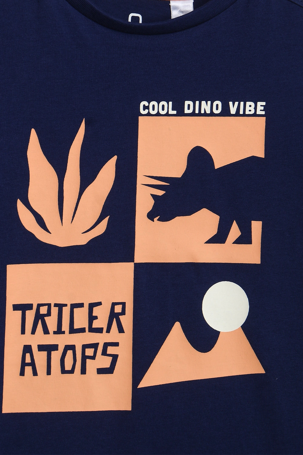 Boys Branded Graphic T-Shirt - Navy