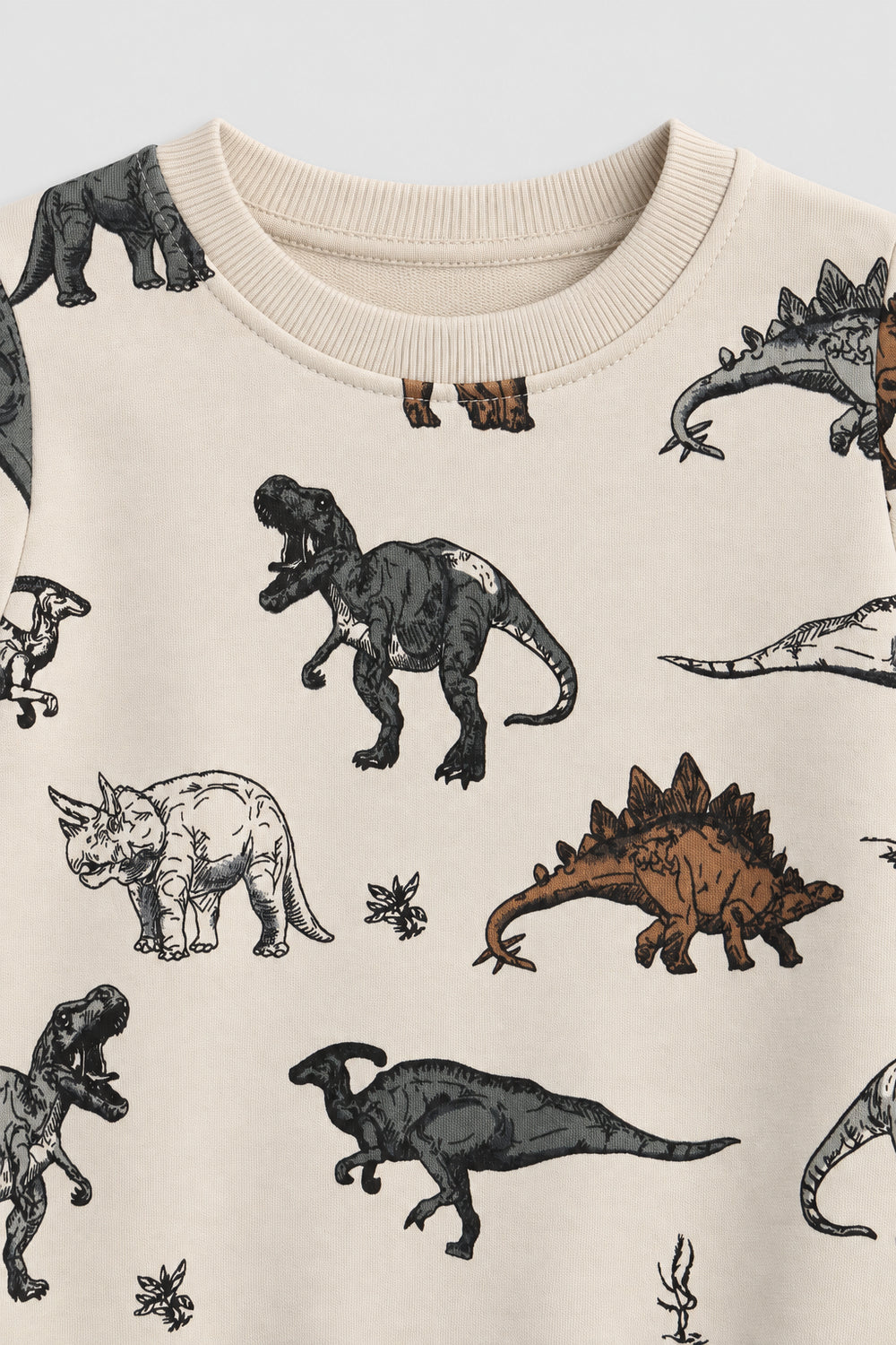 Boys Branded Graphic Sweatshirt - Cream