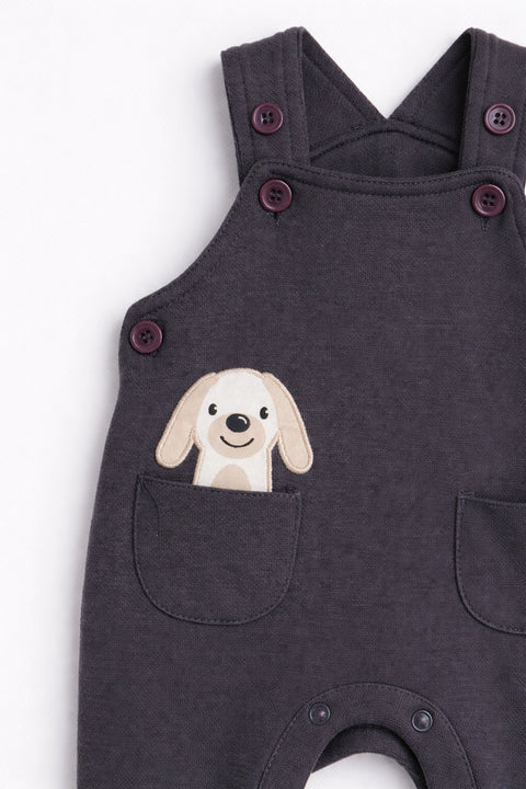 Unisex Branded Dangri - D/Grey