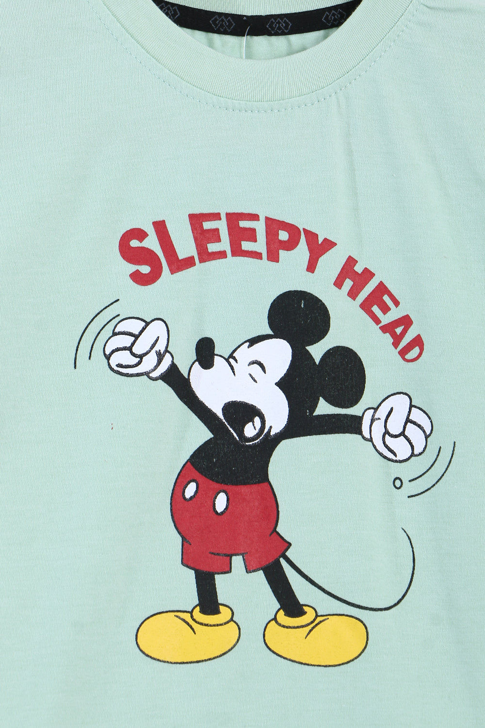 Boys Branded Graphic T-Shirt - Pastachio