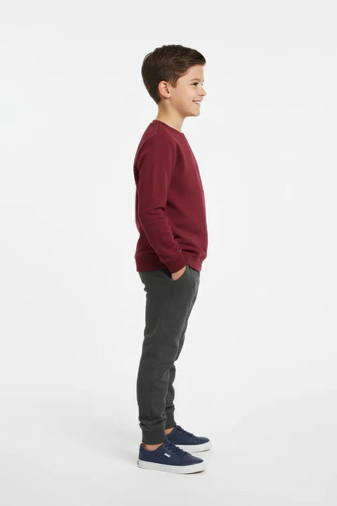 Boys Branded Graphic Sweatshirt - Maroon