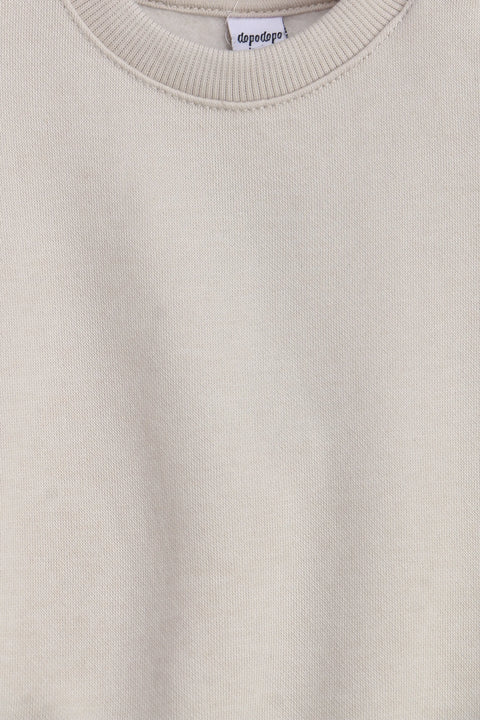 Boys Branded Basic Sweatshirt - Beige
