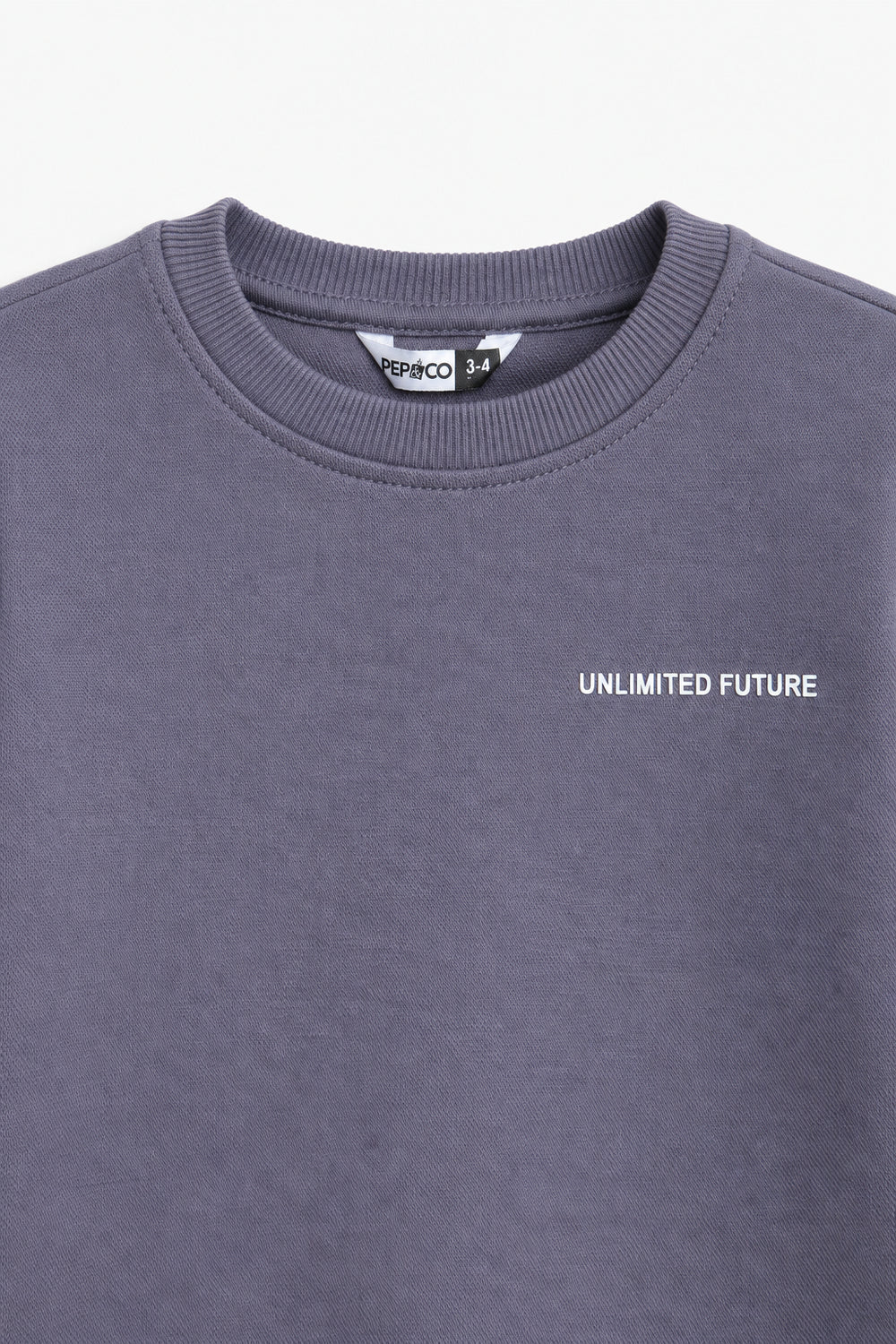 Boys Branded Graphic Sweatshirt - L/Purple