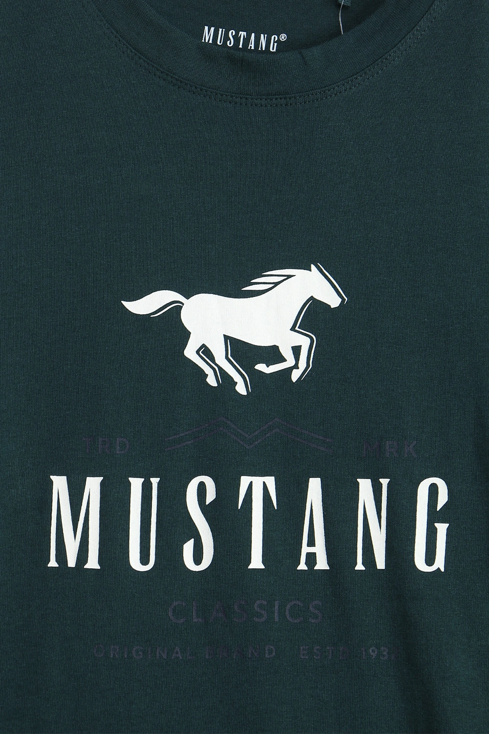 Men Branded Graphic T-Shirt - Green