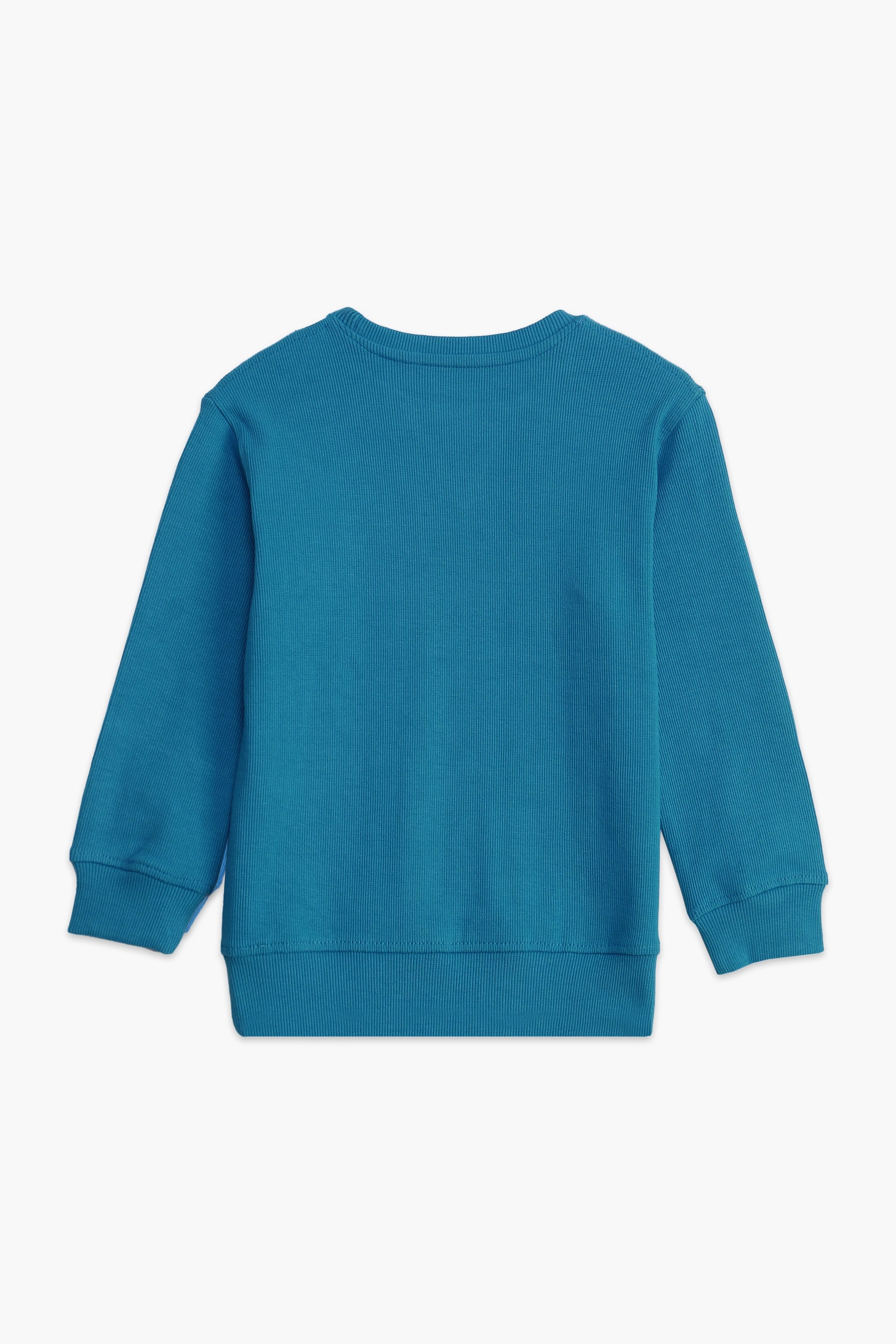 BASIC SWEATSHIRT