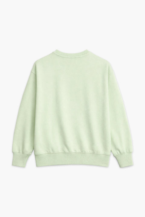 Boys Branded Graphic Sweatshirt - L/Green