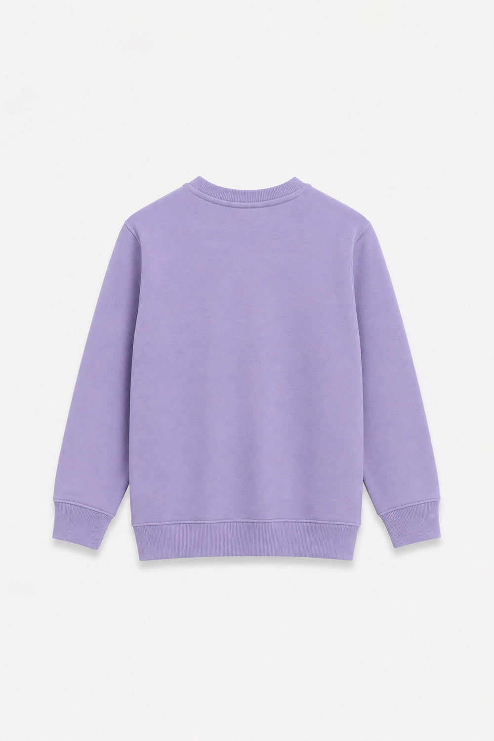 EMBROIDERED SWEATSHIRT