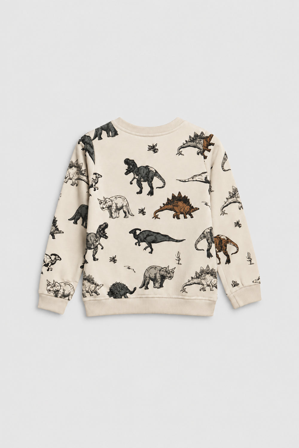 Boys Branded Graphic Sweatshirt - Cream