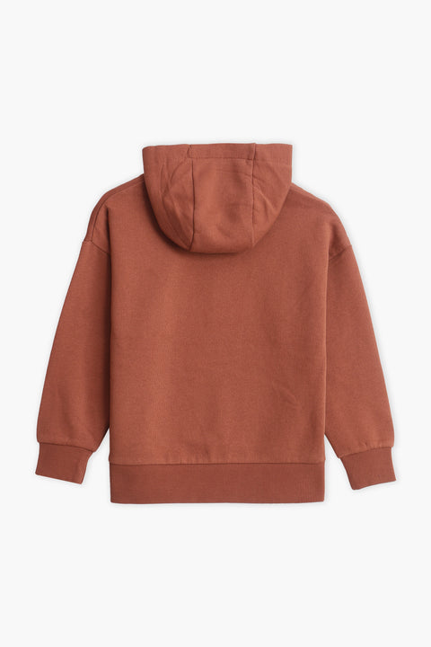 Boys Branded Pullover Hoodie - Brown