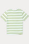 Boys Stripes T-Shirt (Brand: MAX) - Green & White