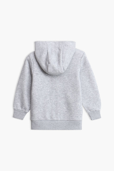 Boys Branded Zipper Hoodie - Grey
