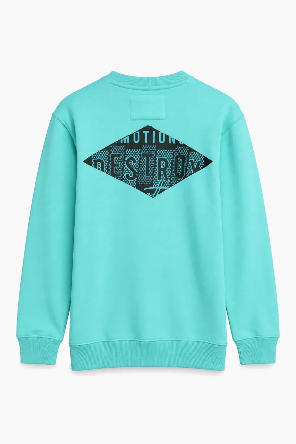 Men Branded Graphic Sweatshirt - Sea Green