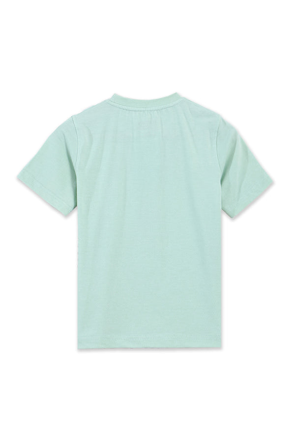 Boys Branded Graphic T-Shirt - Pistachio