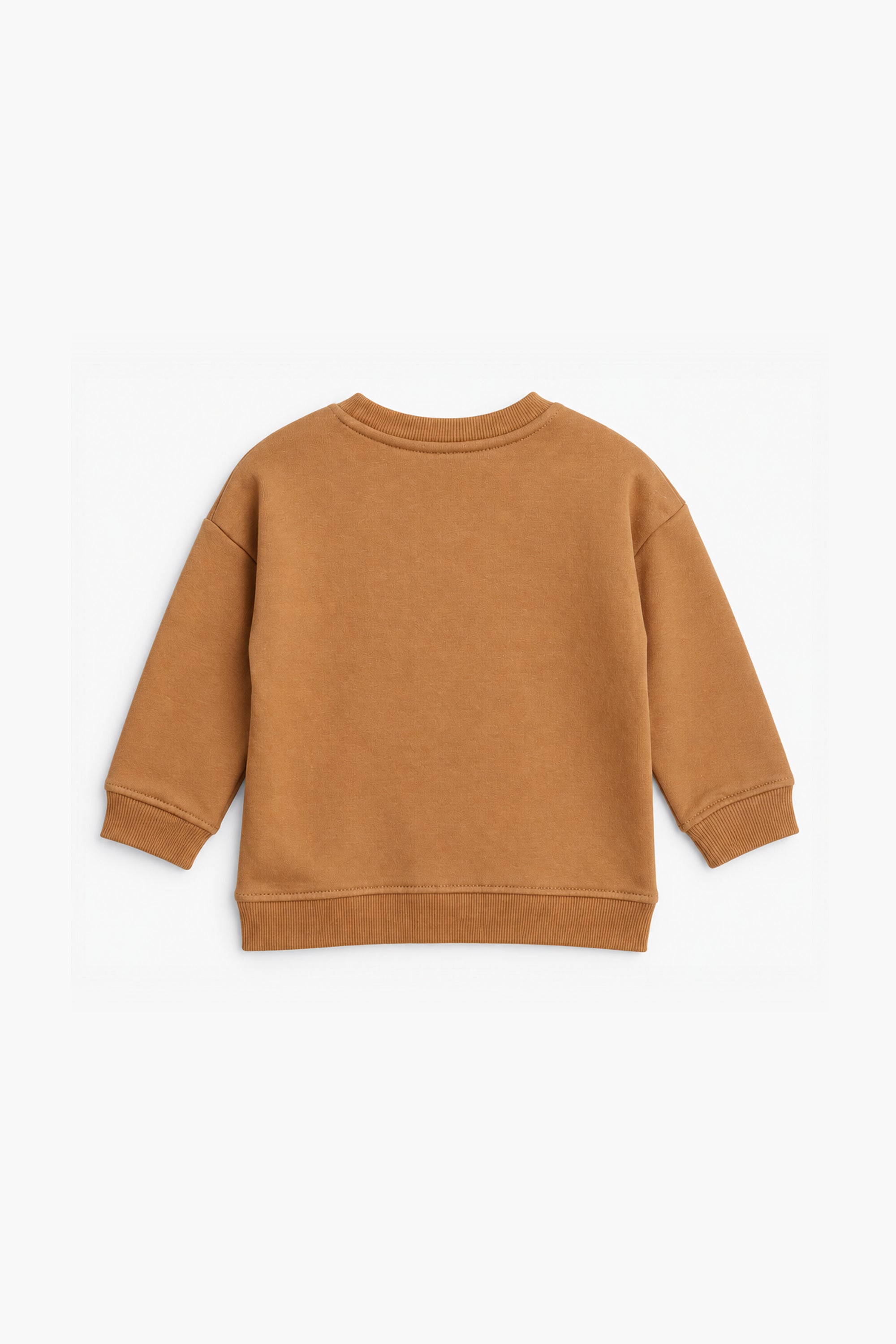 Boys Branded Graphic Sweatshirt - Brown