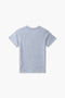 Boys Branded Graphic T-Shirt - Heather Grey