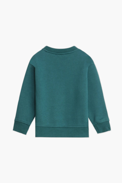 Boys Branded Graphic Sweatshirt - Green