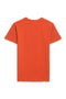 Men Graphic T-Shirt MT24#37 - Rust