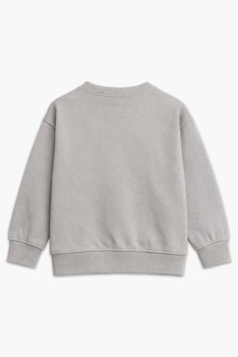 Boys Branded Graphic Sweatshirt - Grey