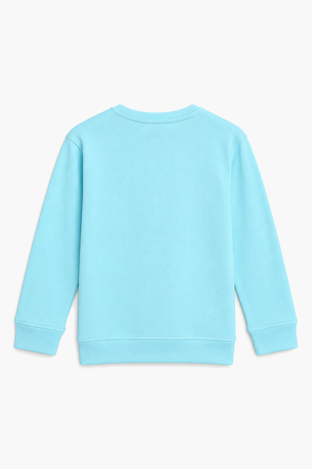 BASIC SWEATSHIRT