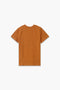 Boys Branded Graphic T-Shirt - Brown