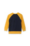 Raglan Sweatshirt