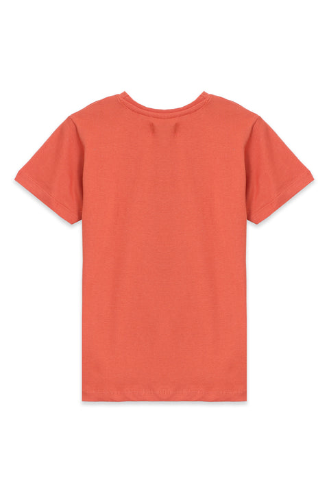 Boy Graphic T-Shirt BT24#37 - Rust