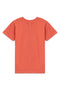 Boy Graphic T-Shirt BT24#37 - Rust