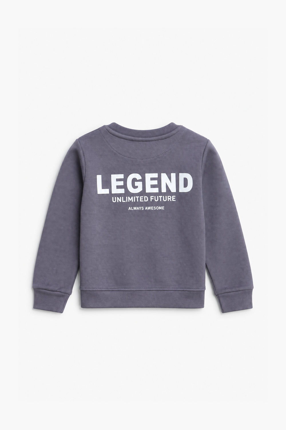 Boys Branded Graphic Sweatshirt - L/Purple